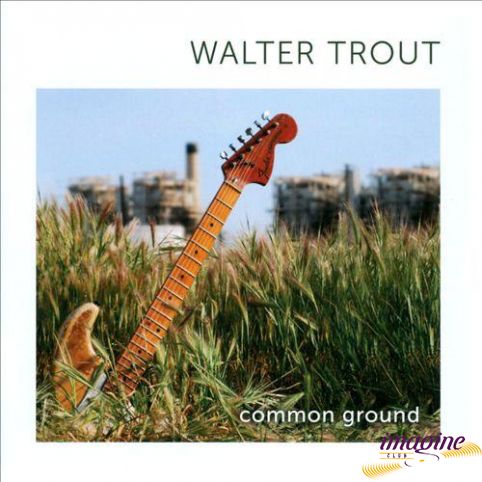 Common Ground Trout Walter