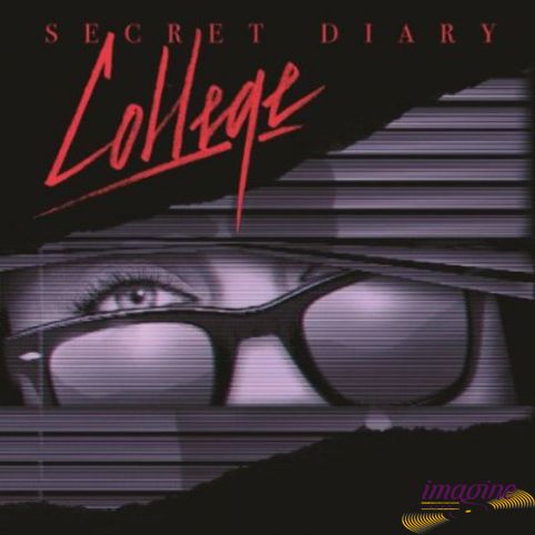 Secret Diary College