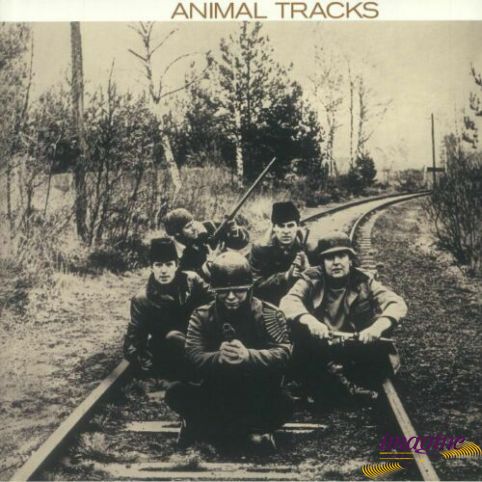 Animal Tracks Animals