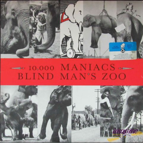 Blind Man's Zoo 10000 Maniacs