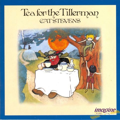 Tea For Tillerman Stevens Cat