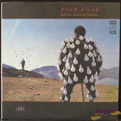 Delicate Sound Of Thunder Pink Floyd