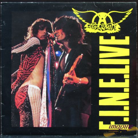 F.I.N.E.Live Aerosmith