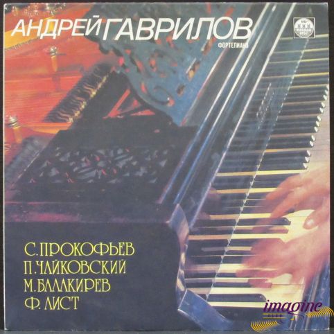 Фортепиано Гаврилов Андрей