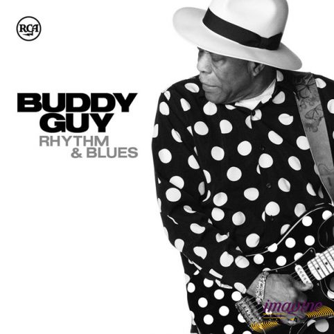 Rhythm & Blues Guy Buddy