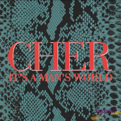 It's A Man's World Cher