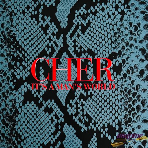 It's A Man's World Cher