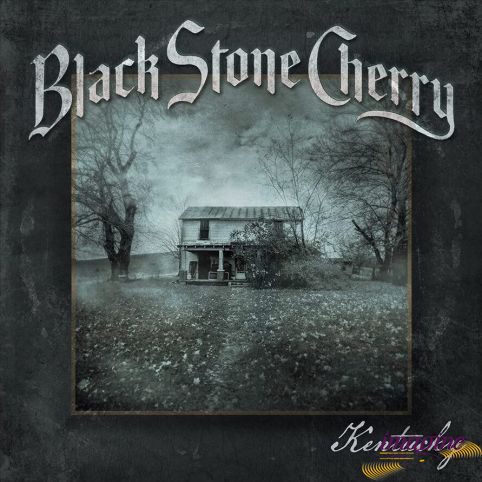 Kentucky Black Stone Cherry