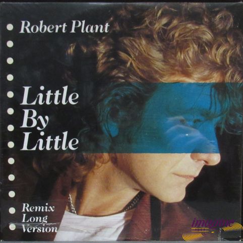 Little By Little Plant Robert