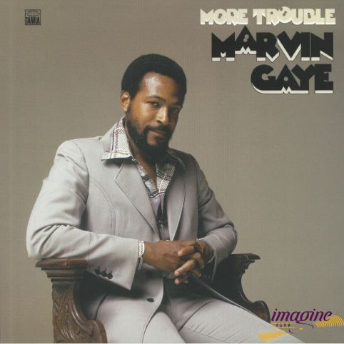 More Trouble Gaye Marvin