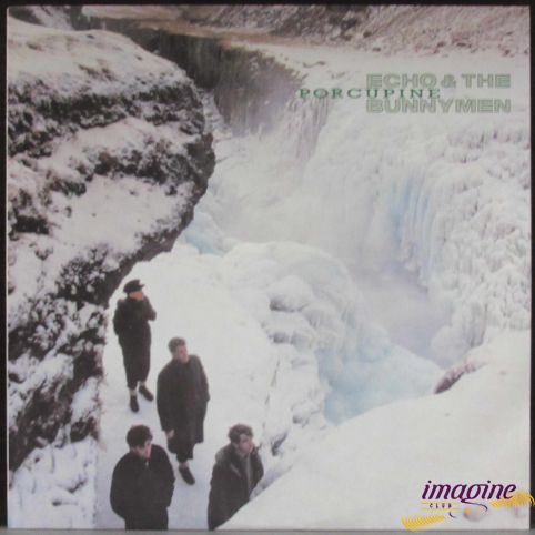 Porcupine Echo And The Bunnymen