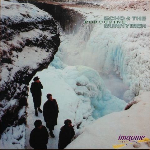 Porcupine Echo And The Bunnymen
