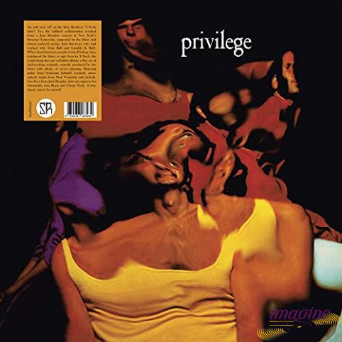 Privilege Privilege