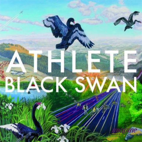 Black Swan Athlete