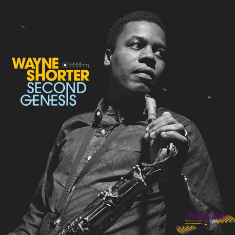 Second Genesis Shorter Wayne