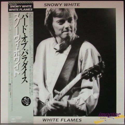 White Flames Snowy White