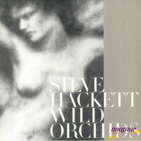 Wild Orchids Hackett Steve
