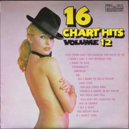 16 Charts Hits Volume 12 Various Artists