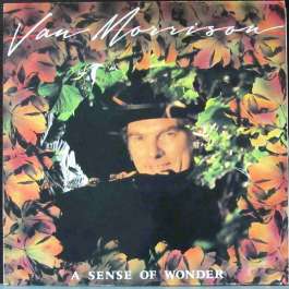 A Sense Of Wonder Morrison Van