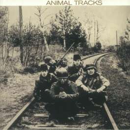 Animal Tracks Animals