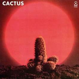 Cactus Cactus