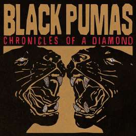 Chronicles Of A Diamond - Clear Black Pumas