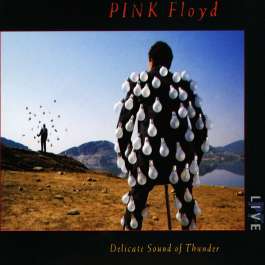 Delicate Sound Of Thunder Pink Floyd