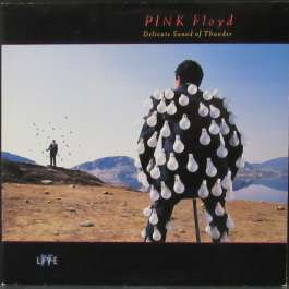 Delicate Sound Of Thunder Pink Floyd