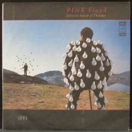 Delicate Sound Of Thunder Pink Floyd
