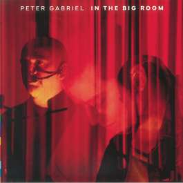 In The Big Room Gabriel Peter