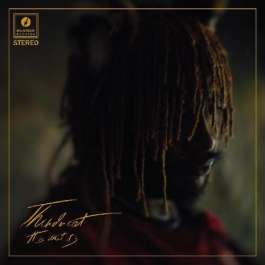 It Is What It Is Thundercat