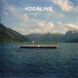 In A Perfect World Kodaline