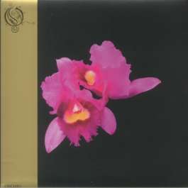 Orchid - Gold Opeth