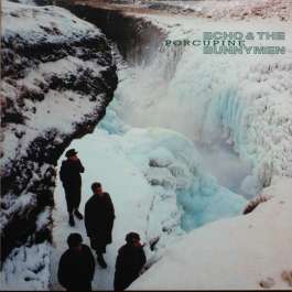 Porcupine Echo And The Bunnymen