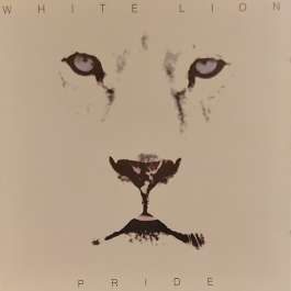 Pride White Lion