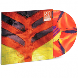 Show Your Bones Yeah Yeah Yeahs