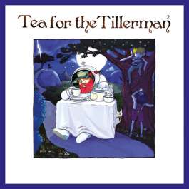 Tea For The Tillerman 2 Stevens Cat