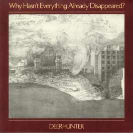 Why Hasn't Everything Already Disappeared? Deerhunter