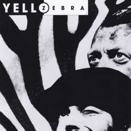 Zebra Yello