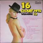 16 Charts Hits Volume 12 Various Artists