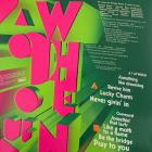 A ? Of WHEN Panda Bear & Sonic Boom
