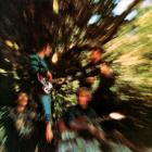 Bayou Country Creedence Clearwater Revival