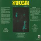 Bells, Boots And Shambles Spirogyra
