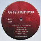 Best Of Woodstock 1994 Red Hot Chili Peppers