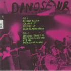 Beyond Dinosaur Jr