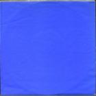 Blue Double