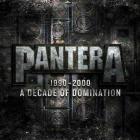 Decade Of Domination Pantera