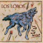 How Will The Wolf Survive  Los Lobos