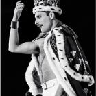 Картина На Холсте Freddie Mercury 2