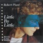 Little By Little Plant Robert